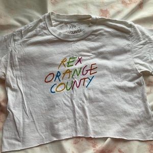 Rex Orange County crop top
